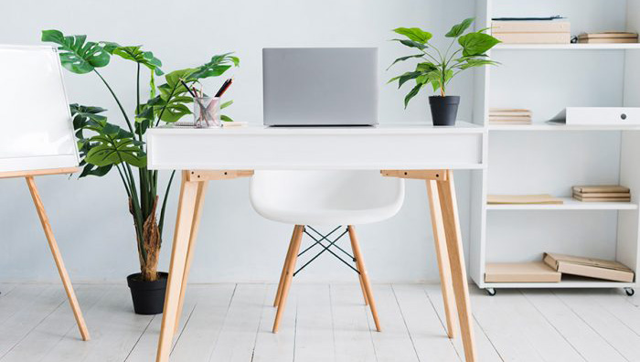 7 reasons to introduce office plants in your workplace